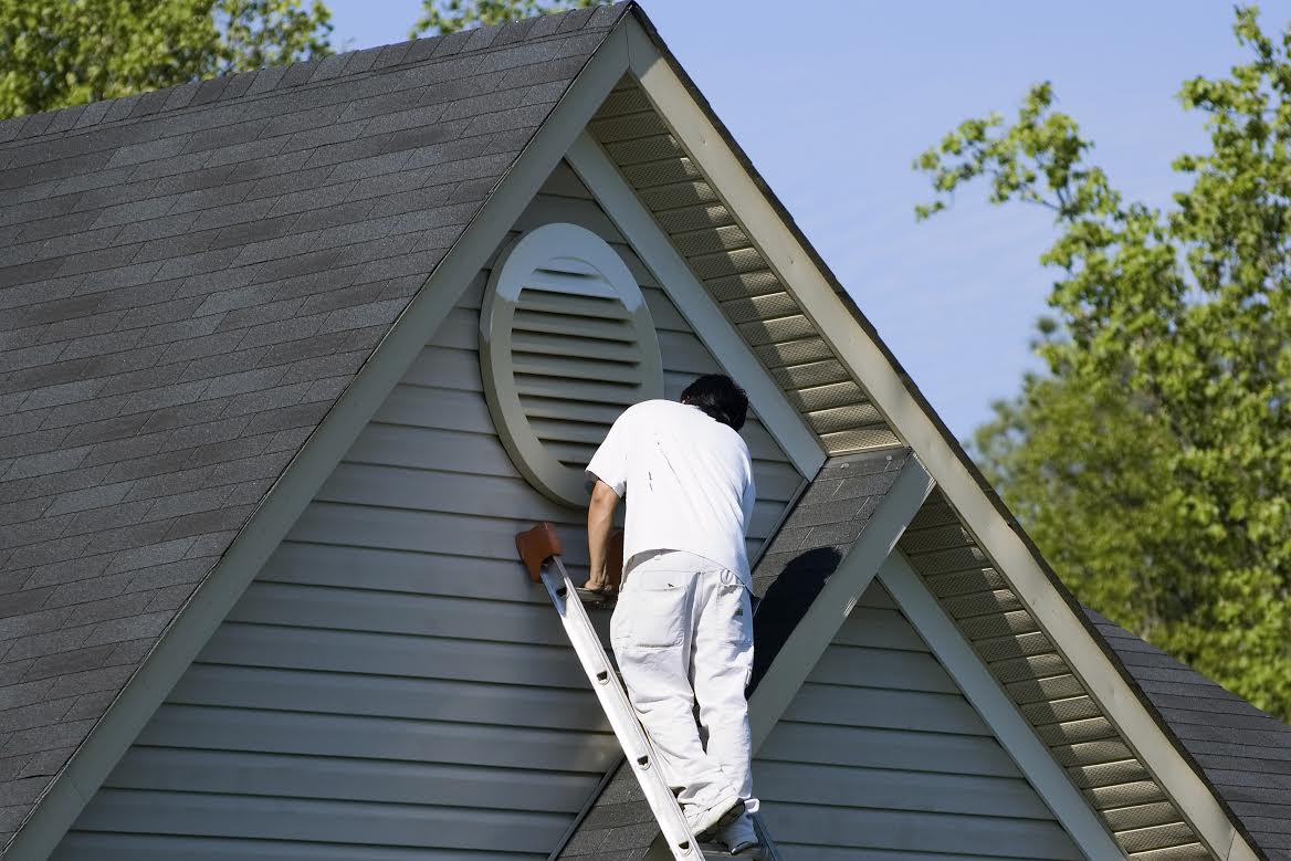 house painters rose bay