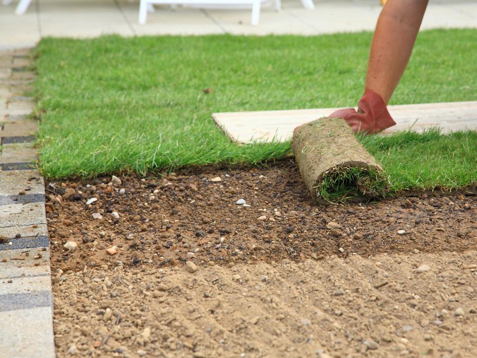 Creating An Oasis: Discover The Beauty Of Professional Turf Laying In Sydney