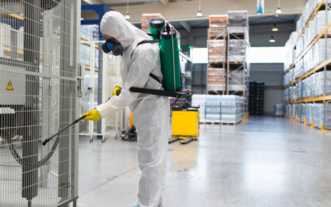 Why Is Professional Bee Pest Control Essential in Melbourne?