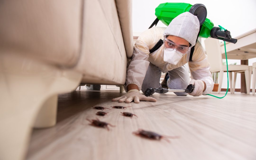 Which method of Pest Control is most effective?